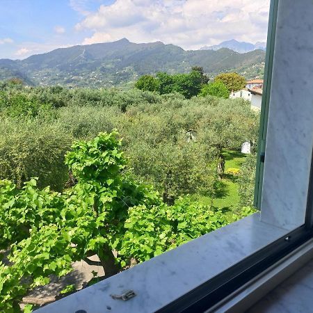 La Madonnina Bed & Breakfast Querceta Exterior foto
