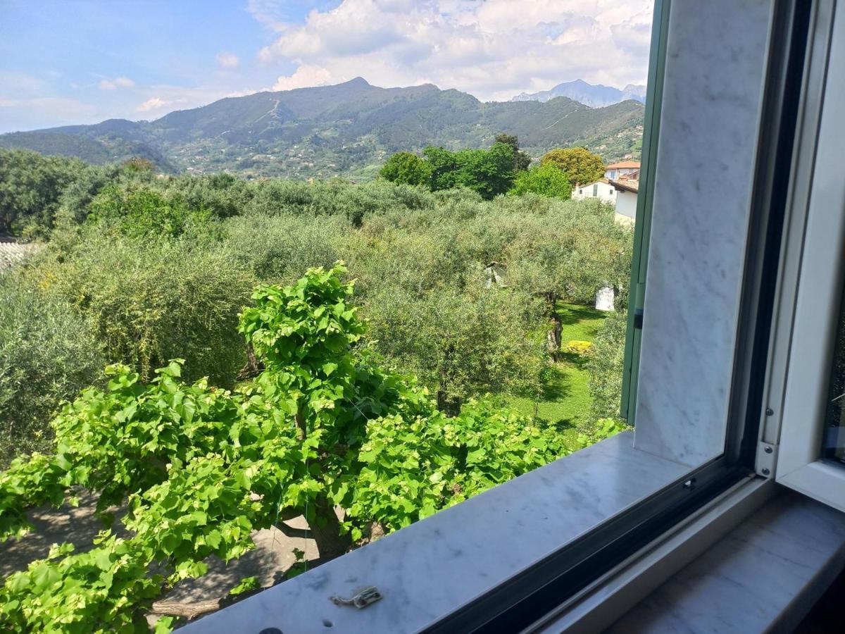 La Madonnina Bed & Breakfast Querceta Exterior foto