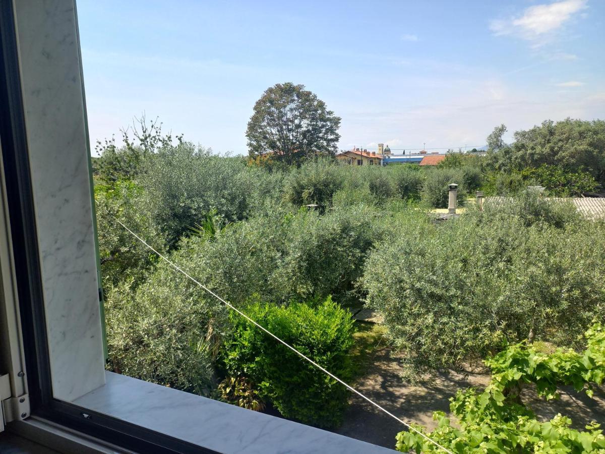 La Madonnina Bed & Breakfast Querceta Exterior foto